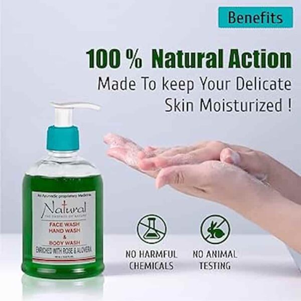 HAND WASH FACE WASH BODY WASH 480ML 9200