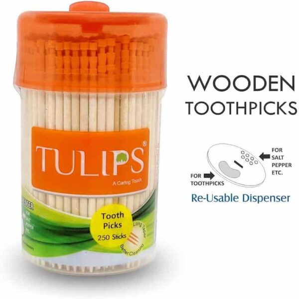 PREMIUM WOODEN TOOTH PICKS 250S JAR 90016