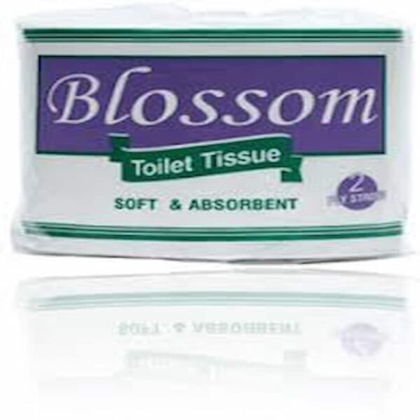 TOILET ROLL BLOSSOM JUMBO 47MTRS X 2 PLY 9800