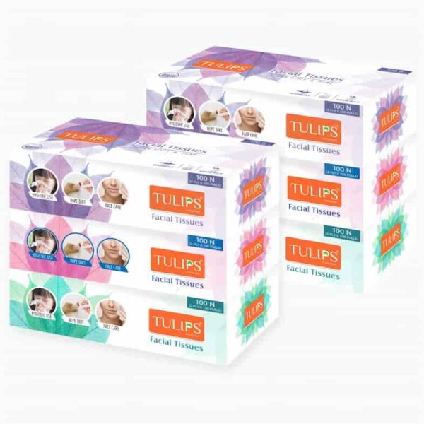 Tulips Facial Tissues, 100N (2 X 100 Pulls) 8405
