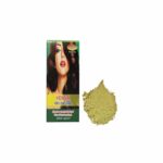 VISHU NATURAL HEENA 200GMS 7076