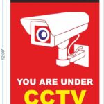 CCTV10